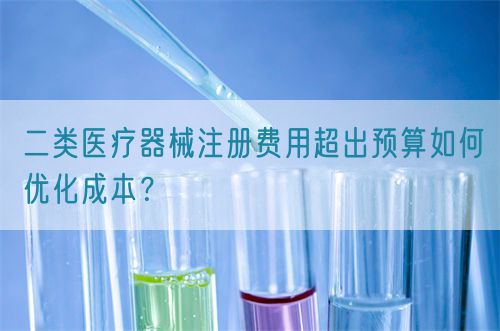 二類醫(yī)療器械注冊費用超出預(yù)算如何優(yōu)化成本？(圖1)
