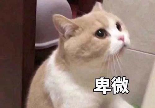 無經驗怎么入行CRA？入行CRA的硬性條件有哪些？(圖3)