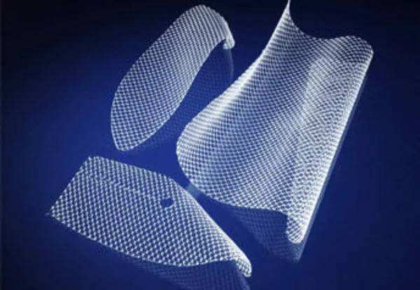 疝修補補片臨床試驗指導原則（2020年第48號）(圖1)