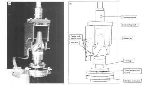 全膝關(guān)節(jié)假體系統(tǒng)產(chǎn)品注冊技術(shù)審查指導原則(2020年第36號)(圖2) 全膝關(guān)節(jié)假體系統(tǒng)產(chǎn)品注冊技術(shù)審查指導原則(2020年第36號)(圖2)