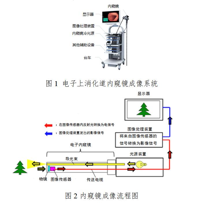 電子上消化道內窺鏡注冊技術審查指導原則（2020年第87號）(圖2)